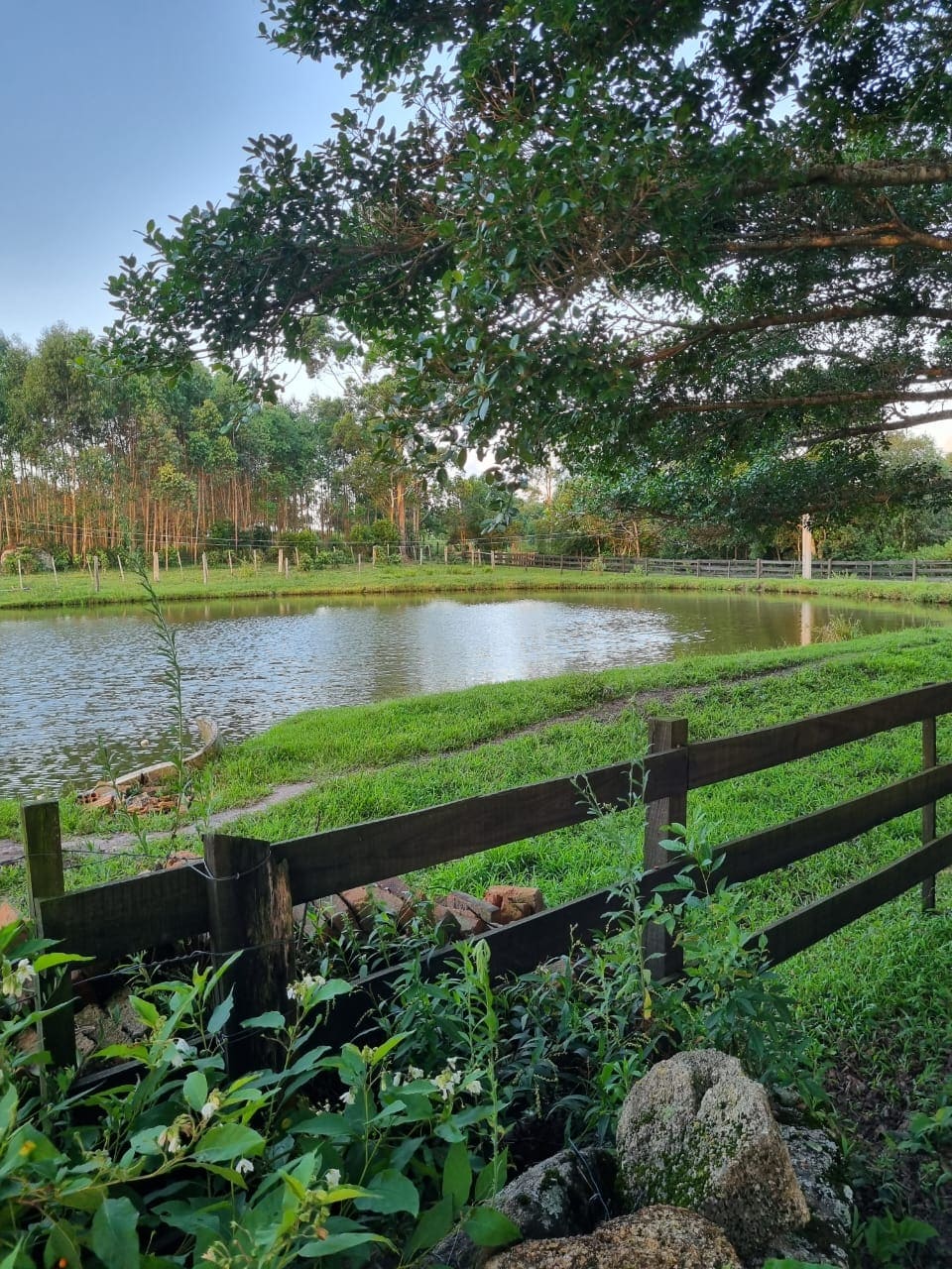 Sitio em Cerrito Alegre