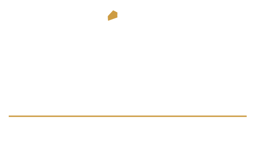 Invictta Logo